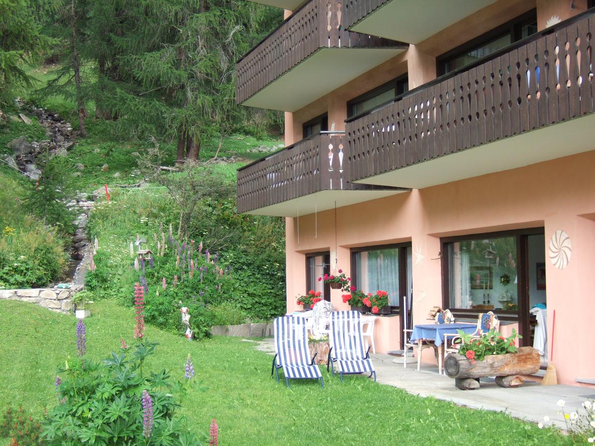 Gartenbereich der Ferienwohnung